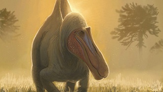 Гигантские хищные динозавры Африки, возможно, зародились в Европе