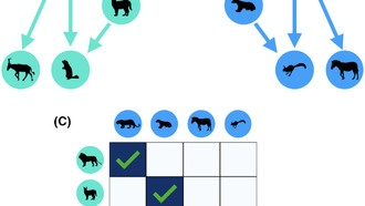 Искусственный интеллект помогает экологам анализировать пищевые цепи и звуковые ландшафты