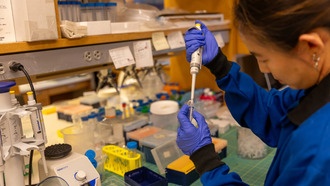 Механика опухолей и внеклеточные везикулы: новый взгляд на рак