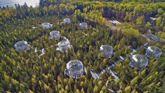 Учёные выяснили, почему болота выделяют больше углекислого газа, чем метана