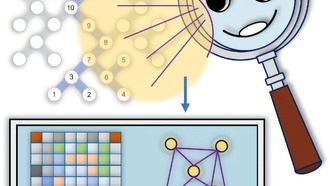 Китайские учёные разработали новый метод для точного анализа квантовых состояний