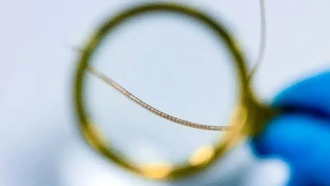 Китайские учёные создали подвижный электрод для более совершенных нейроинтерфейсов