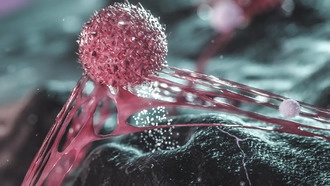 Давление в опухоли делает раковые клетки более опасными