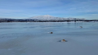 Лёд растворяет железо быстрее жидкой воды: учёные объяснили «ржавые» реки Арктики