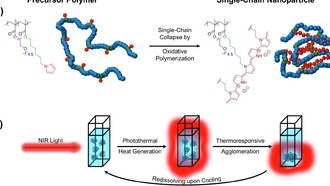Светочувствительные наночастицы открывают новые возможности для медицинской диагностики и терапии