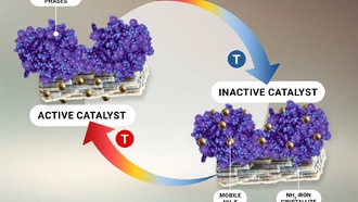 Ученые раскрыли роль промоутеров в промышленном производстве аммиака