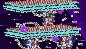 Новый катализатор ускоряет переработку пластика в топливо