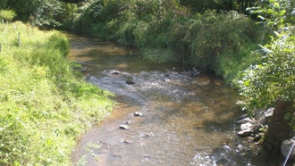 Волны жары в реках США нарастают в четыре раза быстрее, чем в атмосфере