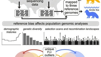 Неправильный геномный шаблон искажает картину выживания видов