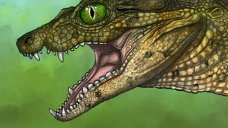 Студент обнаружил новый вид крокодила по окаменелости размером с мизинец