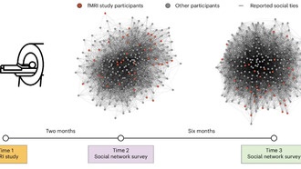 Схожесть нейронных реакций предсказывает будущую дружбу