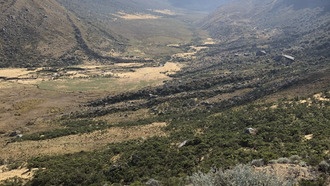 Ледники Анд росли в период резкого похолодания, выяснили ученые