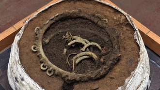 Тайны клада бронзового века из Розмарки раскрыты спустя 3000 лет