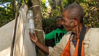 Новый статистический метод улучшит прогнозирование распространения редких видов