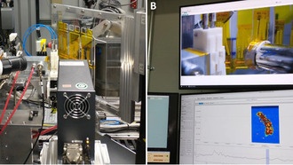 Нанотехнологии помогут бороться с вредителями, не вредя полезным насекомым