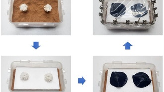 Искусственное растение очищает радиоактивную почву с помощью солнечного света