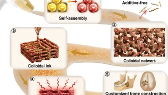 Ученые создали заменитель кости из 3D-печатного стекла