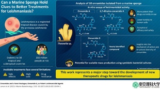 Морские губки с Окинавы предложили новое средство против лейшманиоза