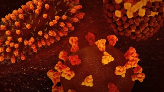 Ученые раскрыли, как вирусы собирают свои идеально симметричные оболочки