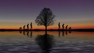 Ученые выяснили, как хоббиты с острова Флорес стали такими маленькими