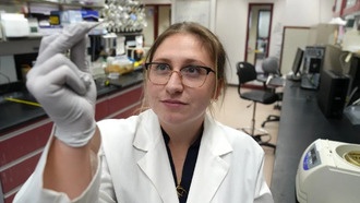 Новый метод DeMark упрощает борьбу с комарами-переносчиками болезней