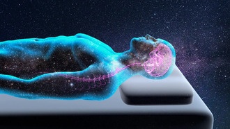 Сон человека может регулироваться молекулами кишечных бактерий в мозге