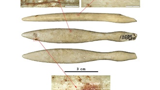 В Испании нашли древнейший предмет из бегемотовой кости
