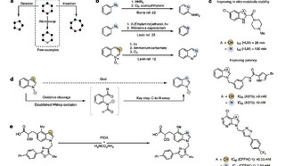 Ученые разработали простой метод преобразования индолов в бензимидазолы для ускорения разработки лекарств