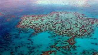 Математическая модель поможет эффективнее распределять ресурсы на защиту экосистем