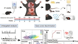 Рак можно выявить по запаху: летучие органические соединения показали потенциал для ранней диагностики