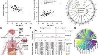 Секрет долголетия: изучение организма самой старой женщины в мире выявило редкие гены и полезные бактерии