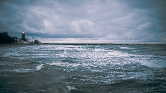 Генетическая стабильность диатомей Балтики нарушена деятельностью человека