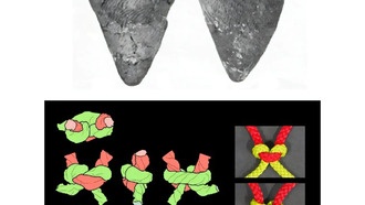 Древние рыболовные сети восстановлены по отпечаткам на керамике с помощью рентгеновской томографии