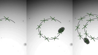 АгрегБоты: микроскопические биороботы из клеток легких для доставки лекарств