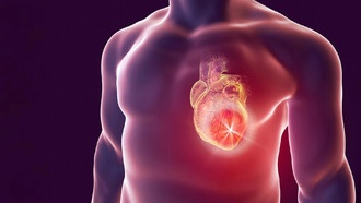 Ультраобработанные продукты повышают риск воспаления и болезней сердца