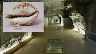 Раковины моллюсков из Саккары раскрывают детали жизни древних египтян