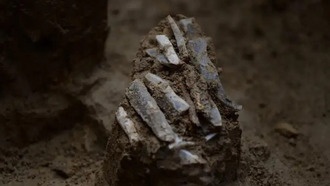 Найдена редкая личная коллекция каменных орудий возрастом 30 000 лет