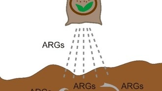 Ученые изучили распространение генов устойчивости к антибиотикам в почвах Китая