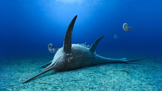 В Германии обнаружены окаменелости нового вида ихтиозавров с рыло-мечом