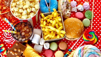 Вредная еда может ухудшить память всего за 4 дня