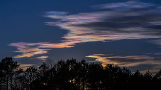 Ученые оценили многолетний эффект от сокращения выбросов в США