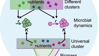 Экспериментальное картирование роста бактерий выявило эволюционные и экологические закономерности