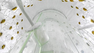 Самый чувствительный детектор в мире сужает поиски тёмной материи