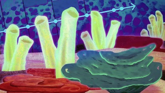 Химические окаменелости подтверждают, что первыми животными на Земле были морские губки