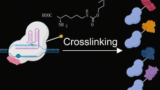 Новый инструмент SCOPE идентифицирует белки, регулирующие активность генов