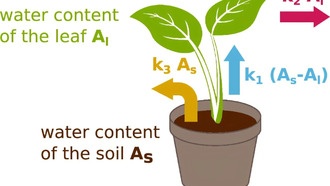 Ученые разработали метод наблюдения за «дыханием» растений с помощью терагерцовой спектроскопии