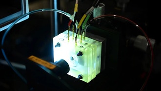 Учёные впервые сохранили живой фрагмент улитки уха вне тела