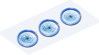 Наблюдены коллективные осцилляции Блоха в одномерном бозе-газе