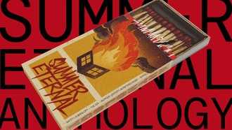 Разработчики Summer Eternal анонсируют игру через книгу и виниловую пластинку