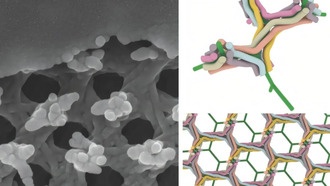 Ученые обнаружили плетеную наноструктуру, создающую яркий зеленый цвет крыльев бабочек